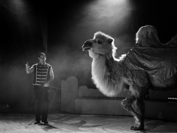© Sigrid Debusschere