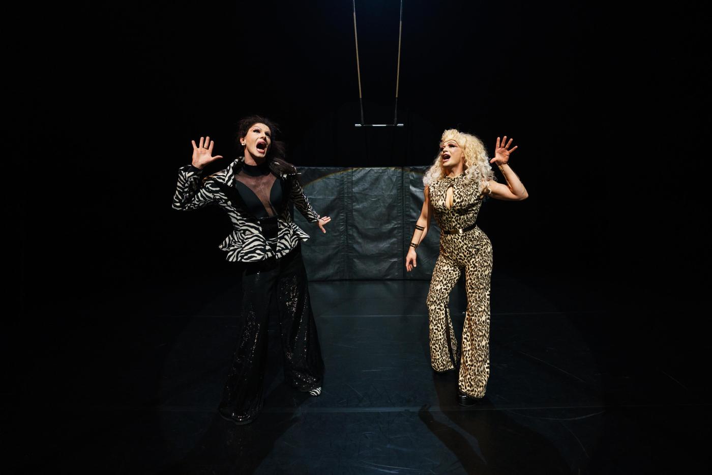 House of Circus